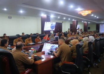 Pemprov Maluku Dan KPK Lakukan MCP