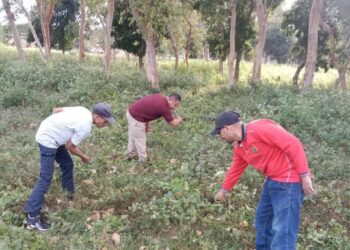 Kemenag MBD Terus Bangun Sinergi Bersama Pemda Dalam Giat Kerja Bakti