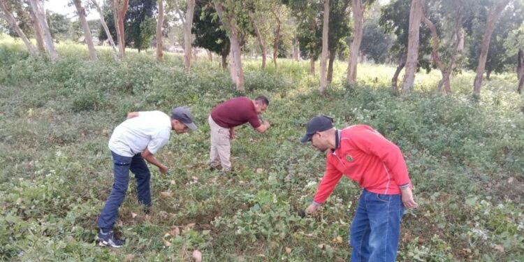Kemenag MBD Terus Bangun Sinergi Bersama Pemda Dalam Giat Kerja Bakti