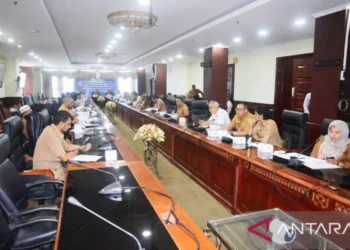 Penguatan Forum Energi Maluku (FEM) untuk Dukung Transisi Energi Berkelanjutan dan Pembangunan Rendah Karbon